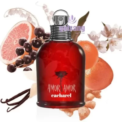 عطر آمور آمور