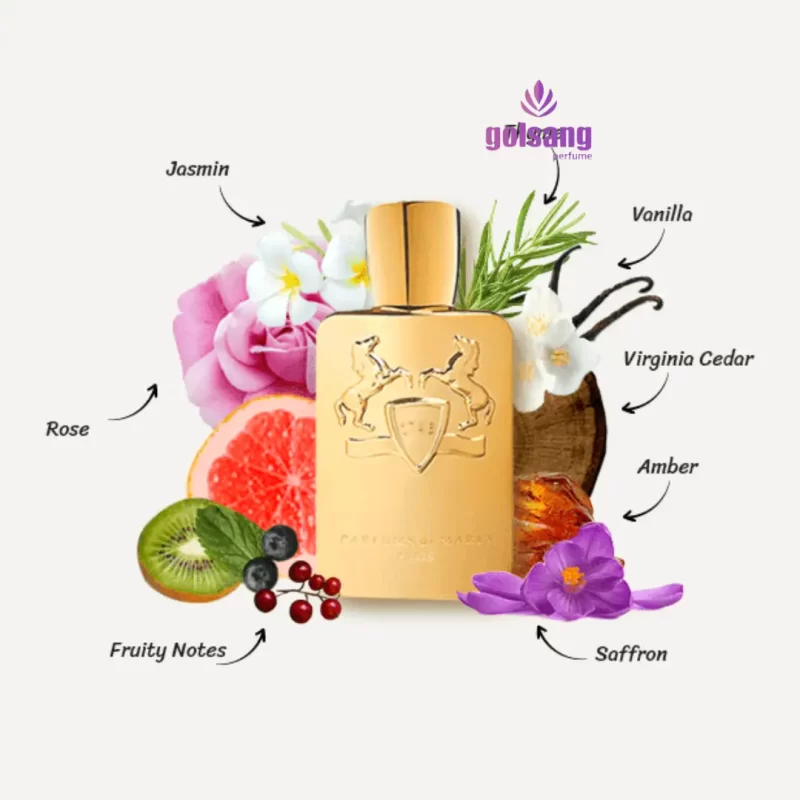 چند وجهی بودن مارلی گودولفین