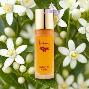 1a02c056-e5cd-434c-bb1d-5a00c4b5cca5